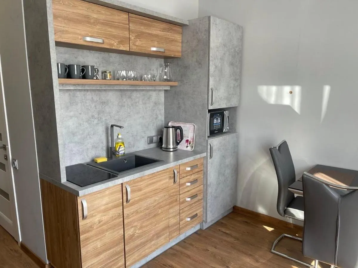 Loft Квартира В Центрі Львова Ukraine