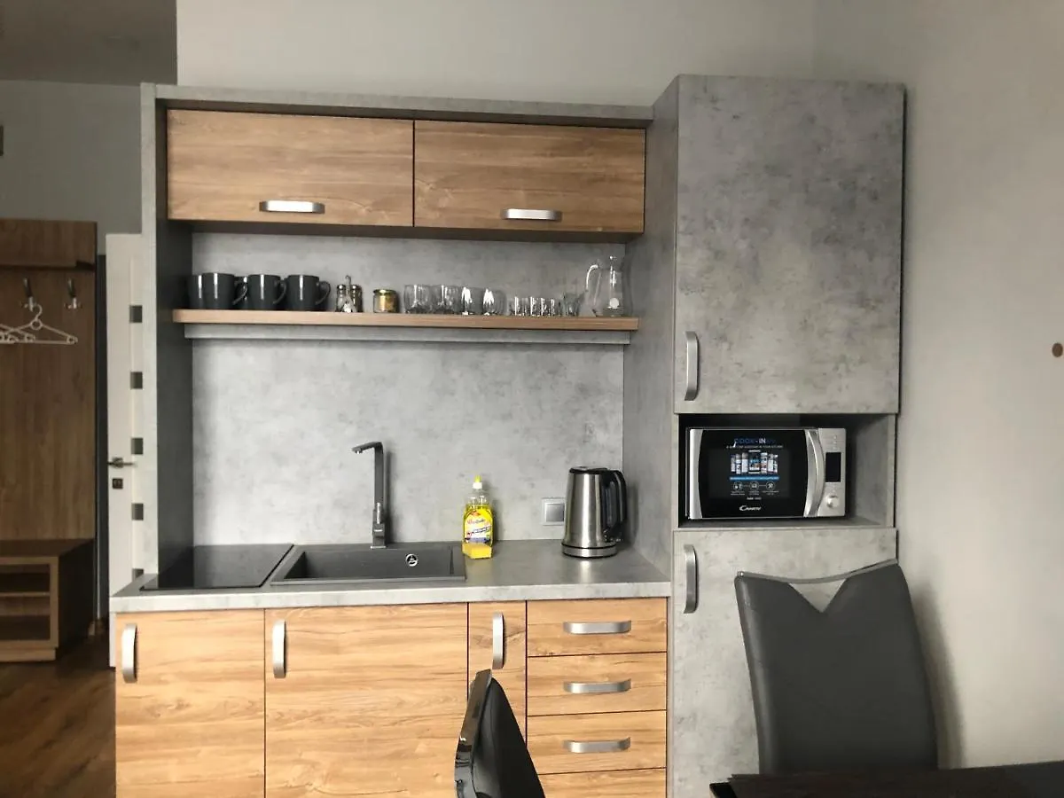 Loft Квартира В Центрі Львова 0*, Lviv